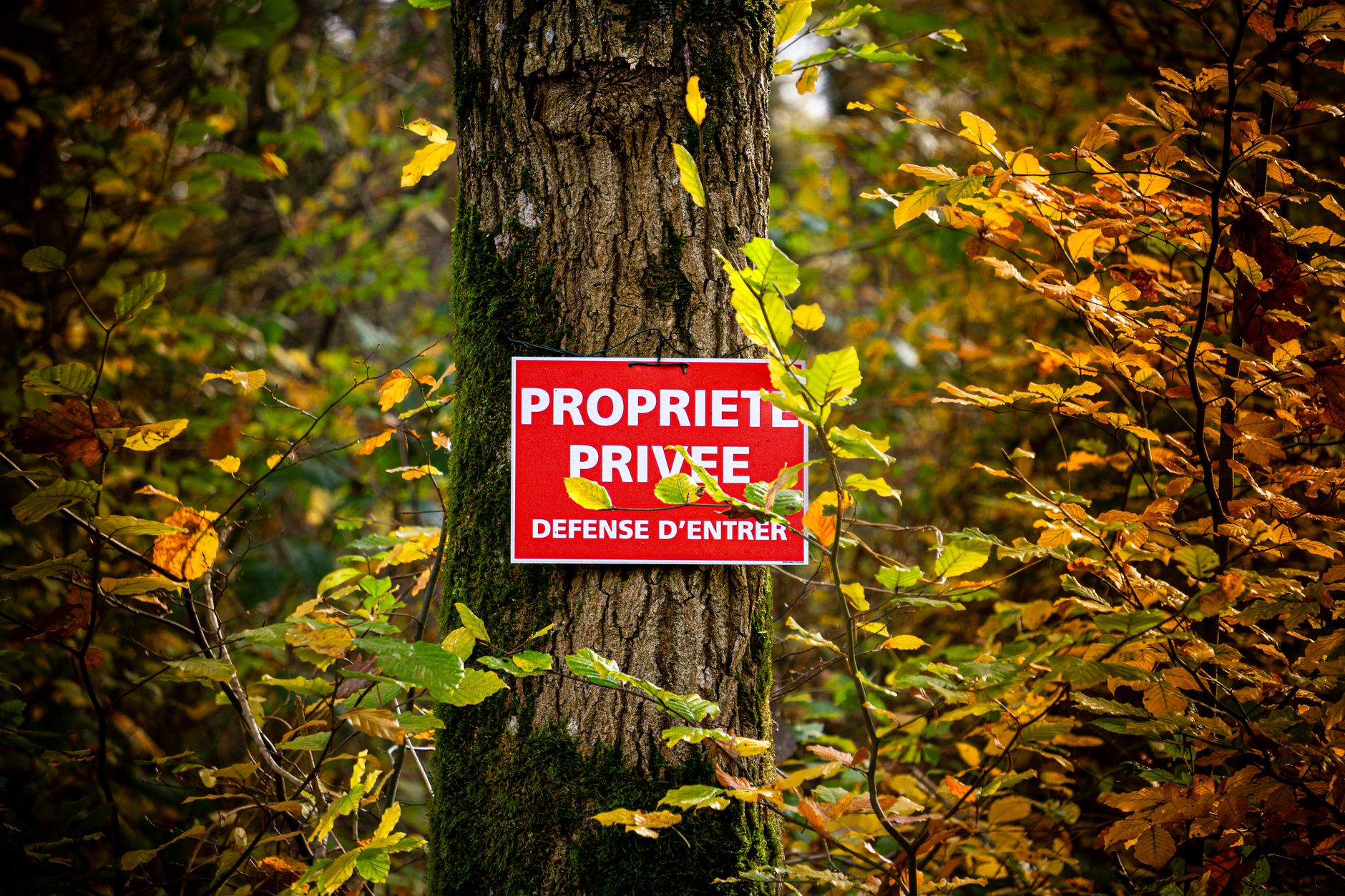 Détective privé à Orléans